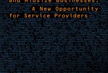 Cyber security for Small and Midsize Businesses: A New Opportunity for Service Providers