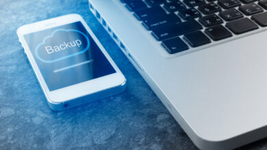 Actifio Extends The Backup Facility To Google Cloud