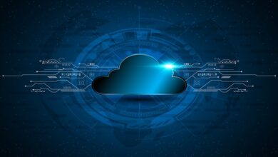 ADOPTION OF CLOUD TECHNOLOGY IN THE ENTERPRISE ENVIRONMENT