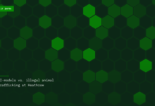 AI-models vs. illegal animal trafficking at Heathrow AI-models vs. illegal animal trafficking at Heathrow