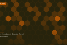 An Overview of Insider Threat Management
