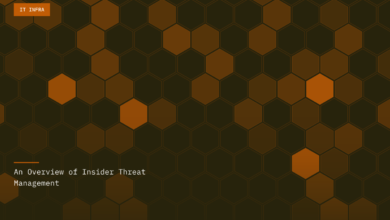 An Overview of Insider Threat Management