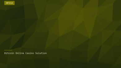 Bitcoin Online Casino Solution