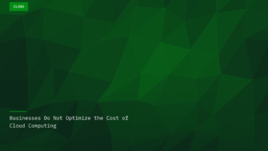 Businesses Do Not Optimize the Cost of Cloud Computing