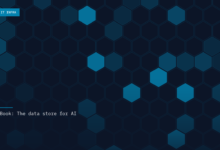 Data Security and Privacy Require Trusted Platform Providers Committed to Security