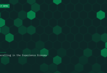 Excelling in the Experience Economy Excelling in the Experience Economy