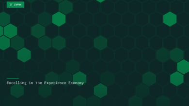 Excelling in the Experience Economy Excelling in the Experience Economy