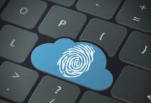 Google and OVHcloud Collaborate to Introduce New Cloud Solution in European Market Google and OVHcloud Collaborate to Introduce New Cloud Solution in European Market