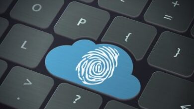 Google and OVHcloud Collaborate to Introduce New Cloud Solution in European Market