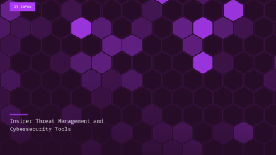 Looking within: The Hidden Costs of Insider Threats