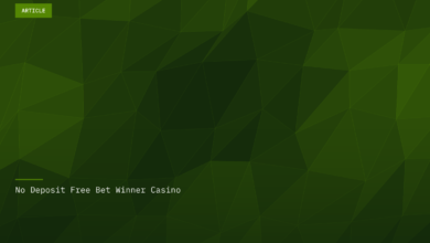 No Deposit Free Bet Winner Casino