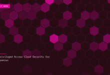 Privileged Access Cloud Security for Dummies