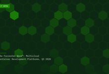 IDC: The Synergies Between Containers and Virtual Machines