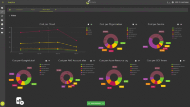 Why Cloud Cost Dashboards Rarely Reduce Cloud Spending Why Cloud Cost Dashboards Rarely Reduce Cloud Spending